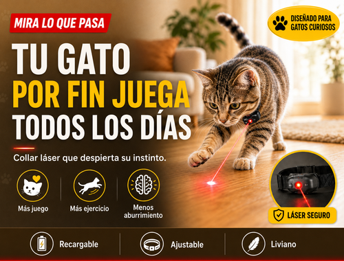 Collar Laser Para Gatos 2