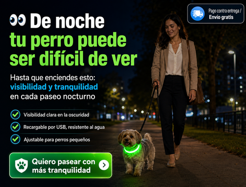 Ollar led perros