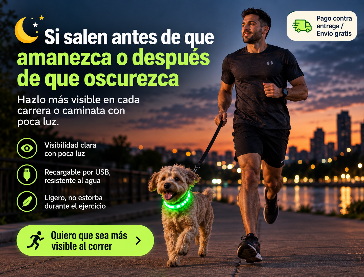 Ollar led perros 2
