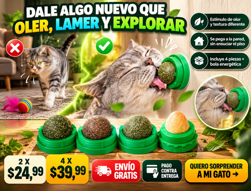 Cat Nip Menta Para Gato