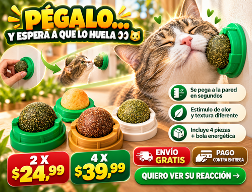 Cat Nip Menta Para Gato 2