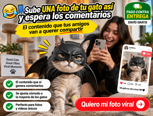 Máscara de murciélago para gato 3
