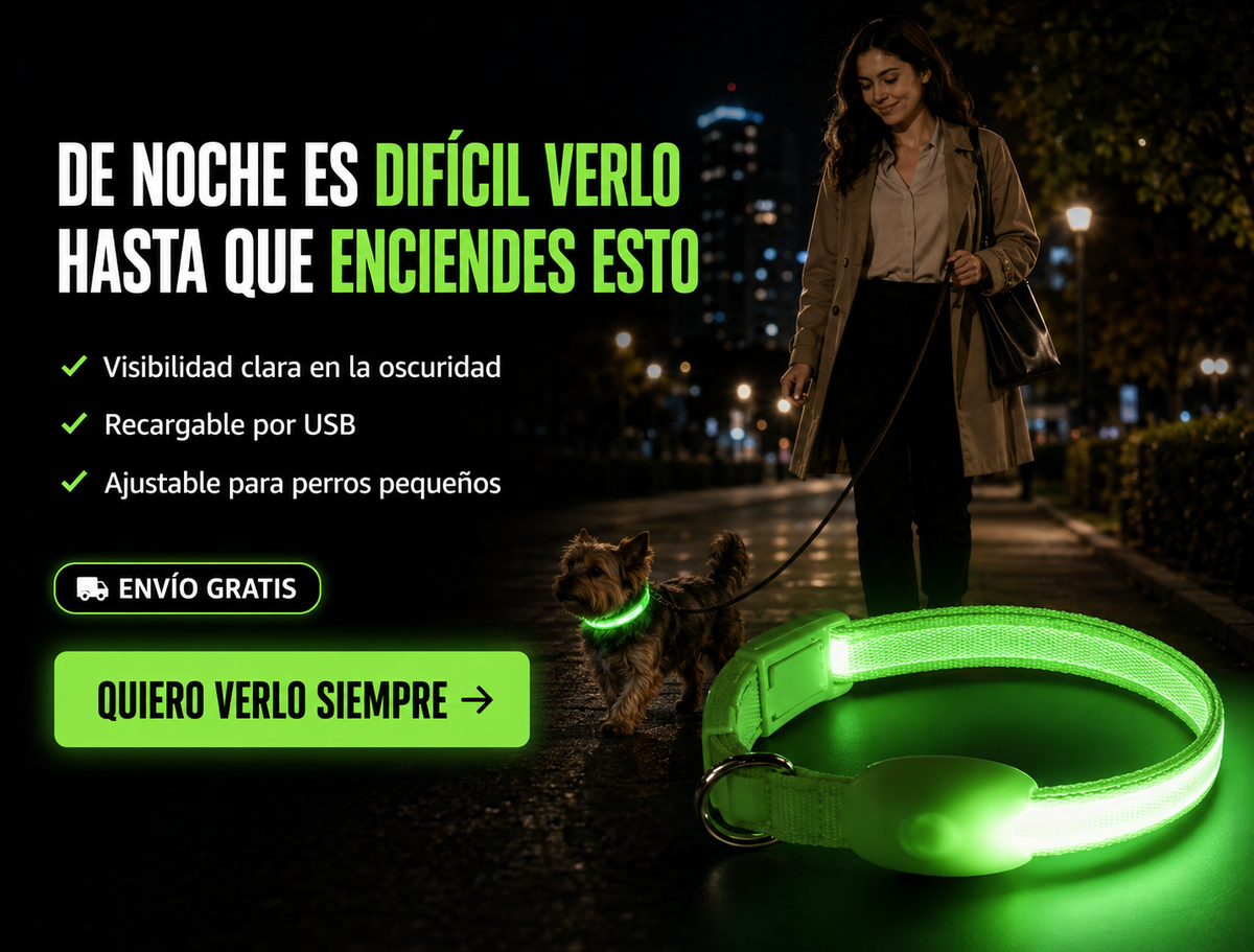 Vizpet Collar para perro con luz LED, ajustable, recargable por USB