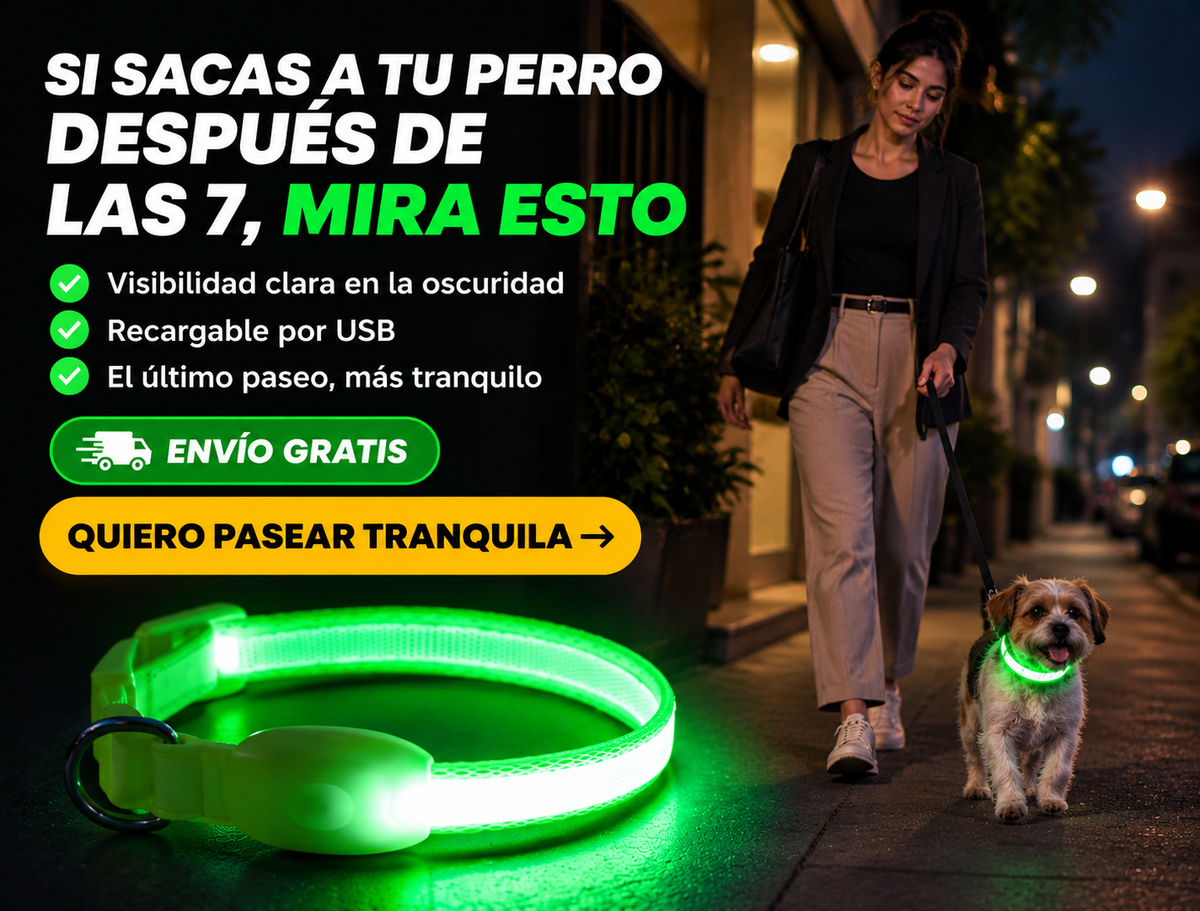 Vizpet Collar para perro con luz LED, ajustable, recargable por USB 3