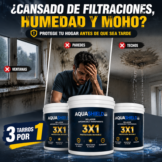 3X1 Protección invisible3