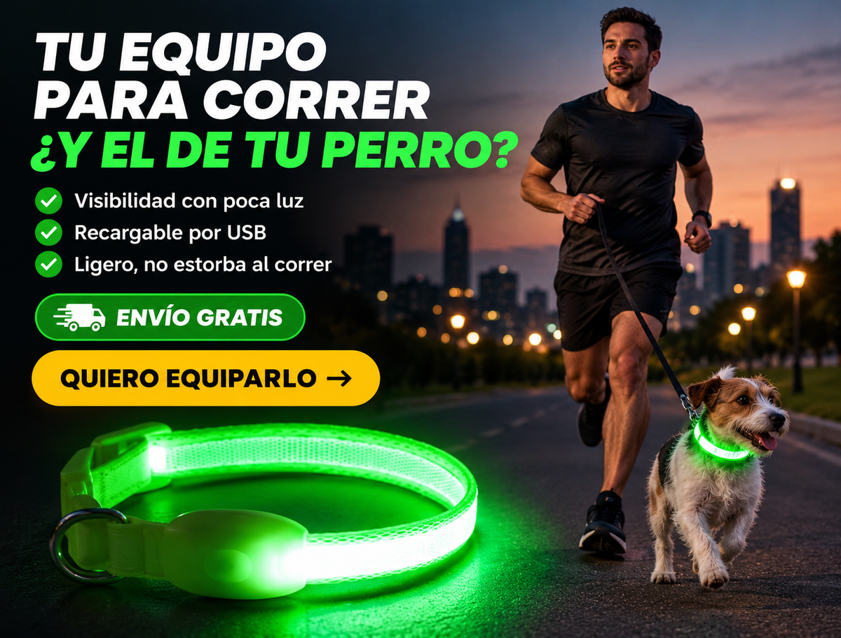 Vizpet Collar para perro con luz LED, ajustable, recargable por USB 2