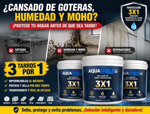 3X1 Protección invisible